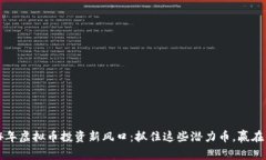 2024年虚拟币投资新风口：